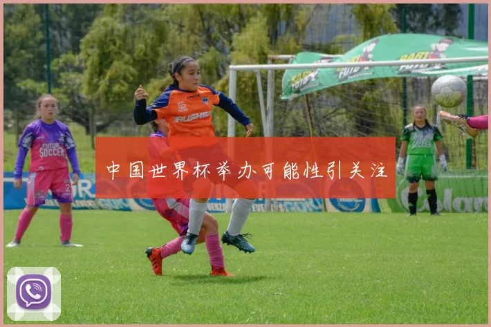 中国世界杯举办可能性引关注