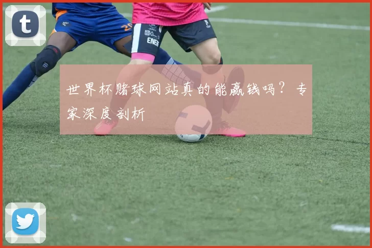 世界杯赌球网站真的能赢钱吗？专家深度剖析