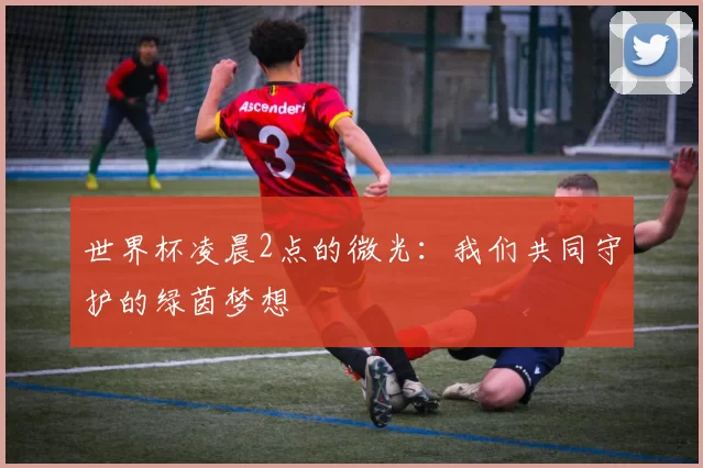 世界杯凌晨2点的微光：我们共同守护的绿茵梦想
