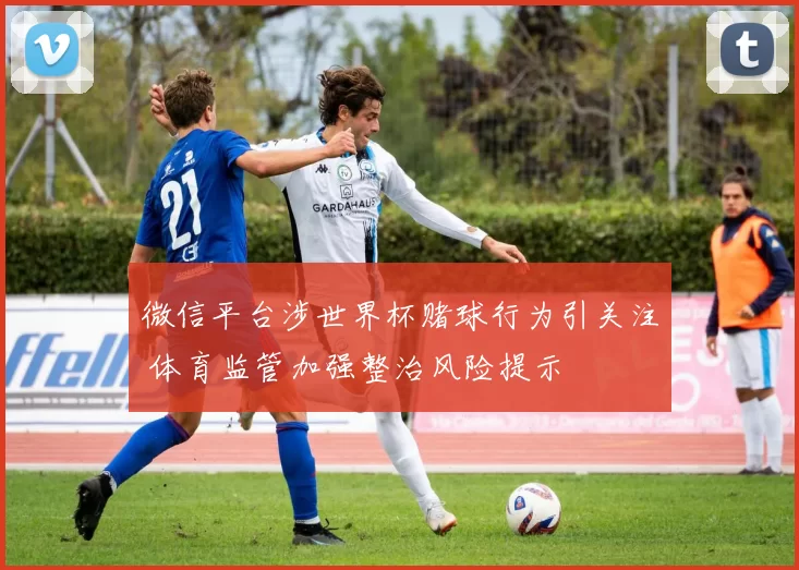 微信平台涉世界杯赌球行为引关注 体育监管加强整治风险提示