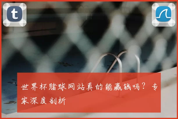 世界杯赌球网站真的能赢钱吗？专家深度剖析
