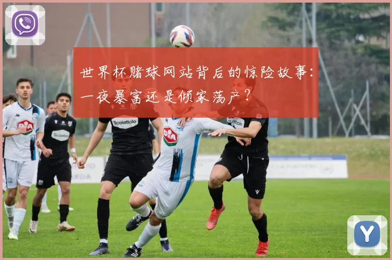 世界杯赌球网站背后的惊险故事：一夜暴富还是倾家荡产？