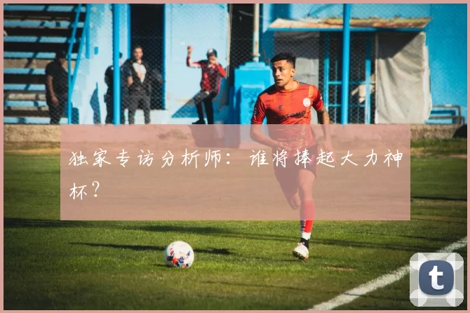 独家专访分析师:谁将捧起大力神杯?