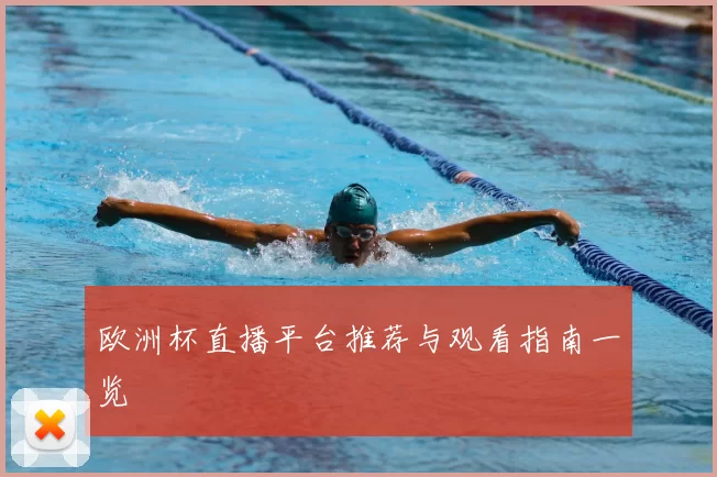 欧洲杯直播平台推荐与观看指南一览