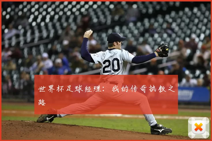 世界杯足球经理:我的传奇执教之路