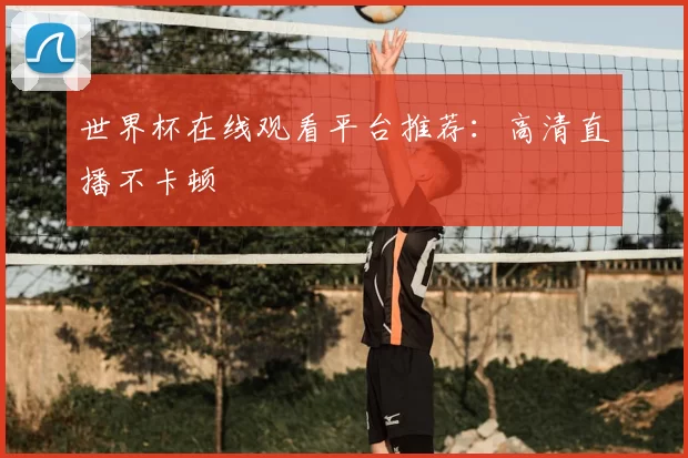 世界杯在线观看平台推荐:高清直播不卡顿