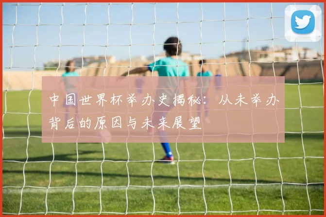 中国世界杯举办史揭秘：从未举办背后的原因与未来展望